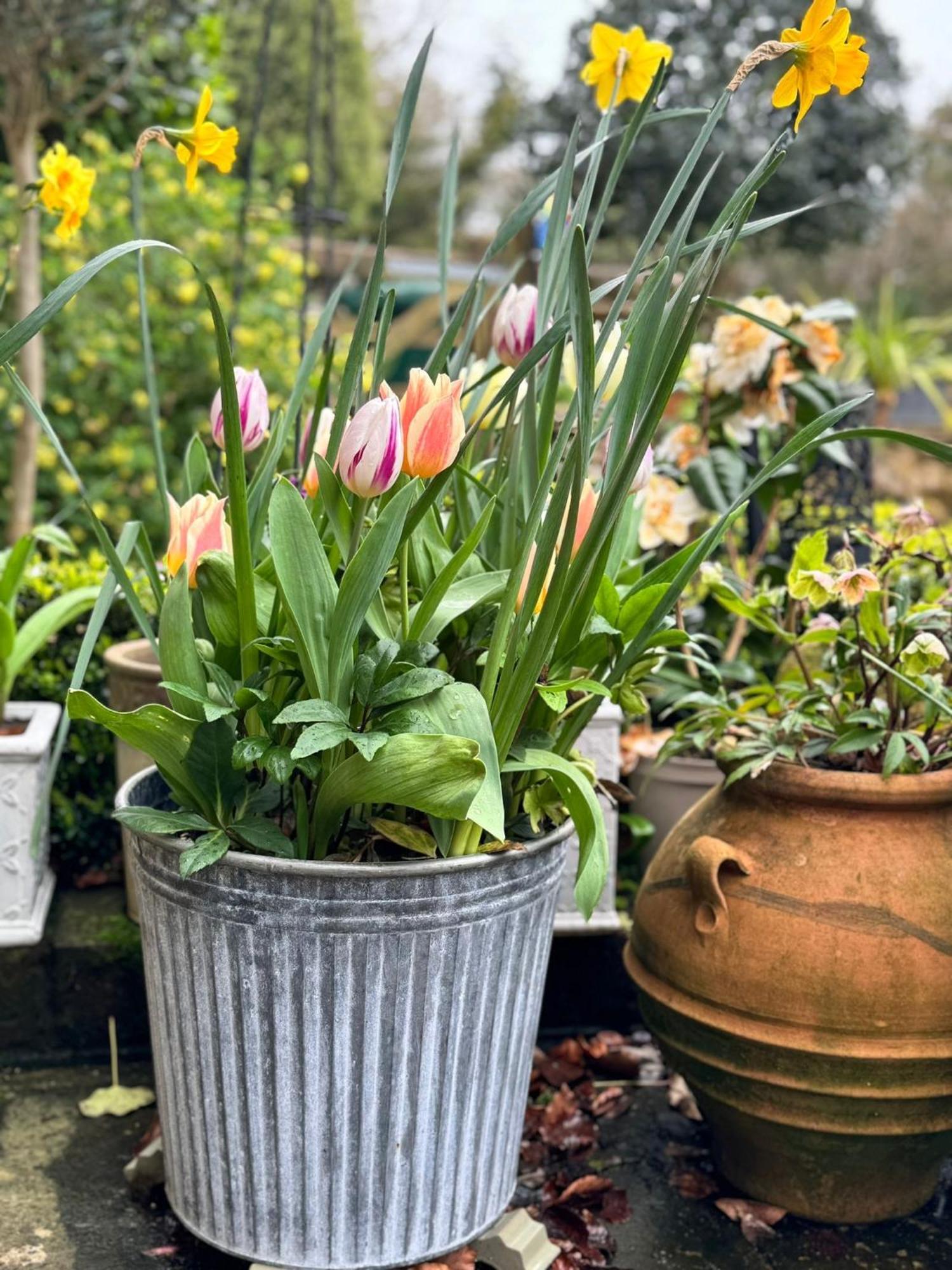 'Bramley Fall Cottage' ' On Site Ev Point - Attached Cottage,3 Separate Bedrooms -1 On Ground Level, Sleeps 6, 2 Bathrooms, Sandy Wittering Beach 8Min Drive, Rural Location, Child Friendly, Small Breed Dog Friendly, Private Parking Chichester Zewnętrze zdjęcie