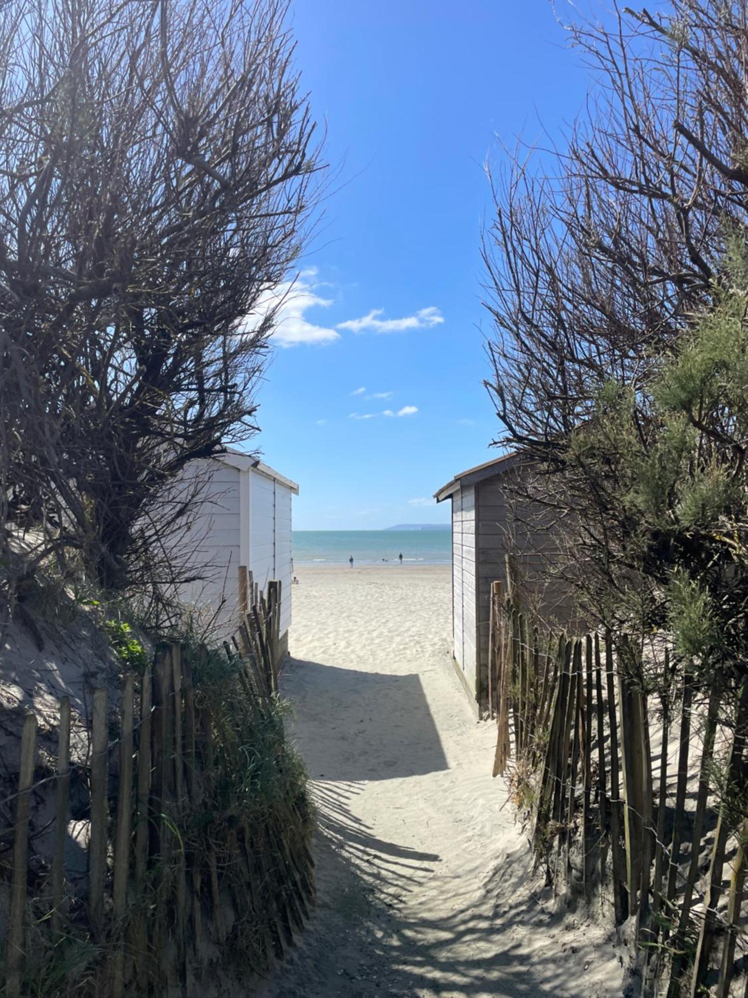 'Bramley Fall Cottage' ' On Site Ev Point - Attached Cottage,3 Separate Bedrooms -1 On Ground Level, Sleeps 6, 2 Bathrooms, Sandy Wittering Beach 8Min Drive, Rural Location, Child Friendly, Small Breed Dog Friendly, Private Parking Chichester Zewnętrze zdjęcie